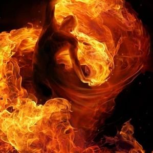 Meet your Posher, Peter